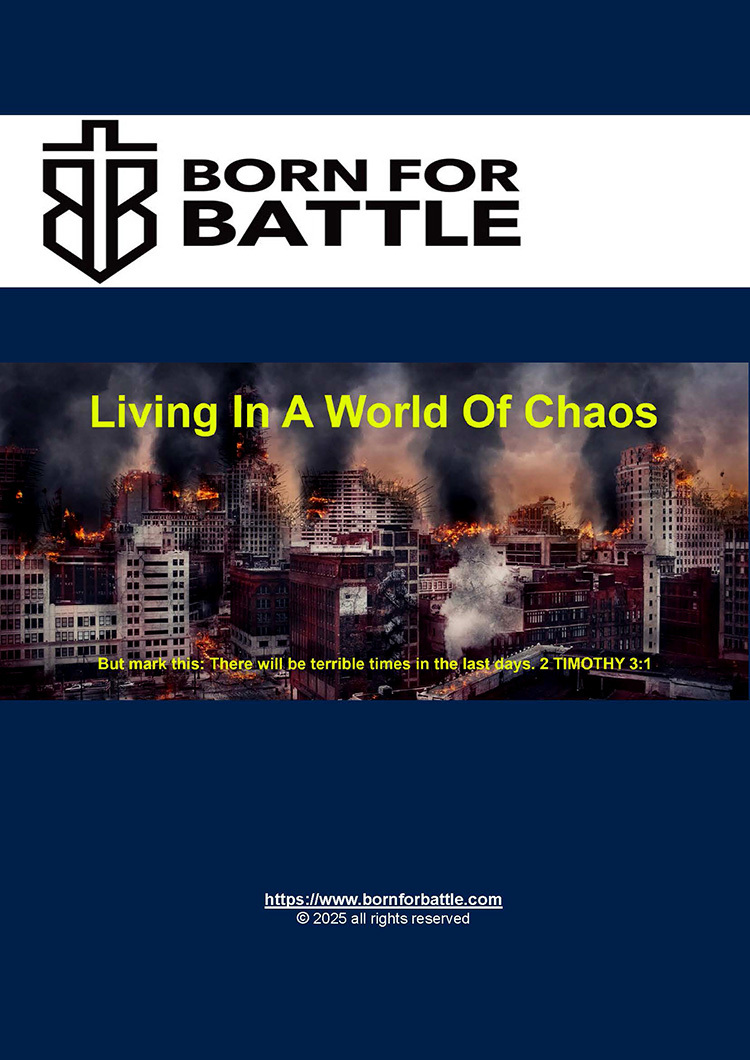 BornForBattle cover
