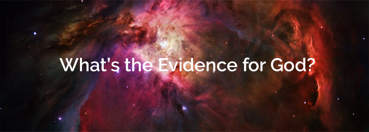 EVIDENCE top panel