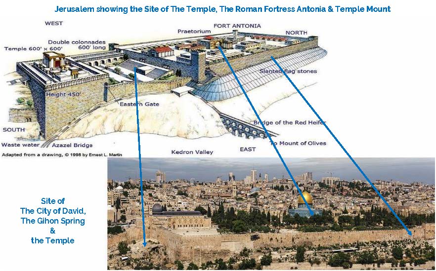 Jerusalem showing Temple Temple Mount