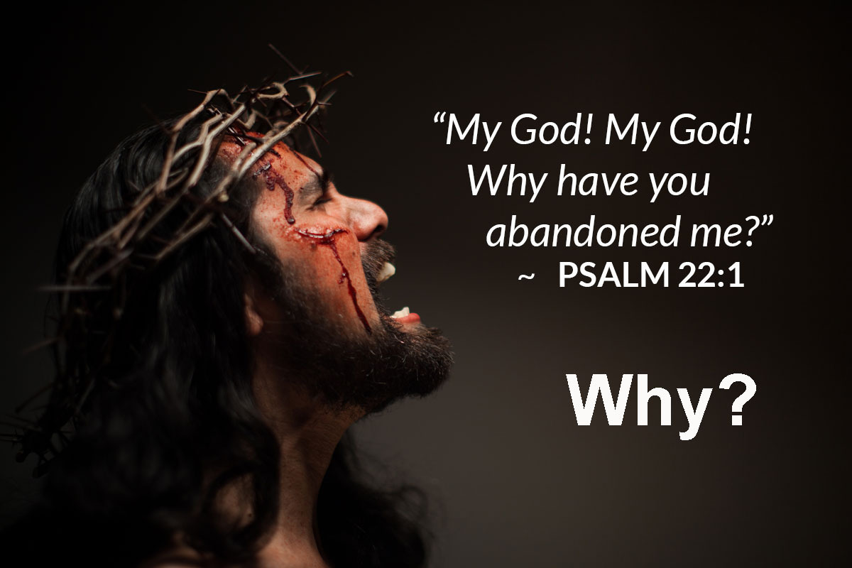 lightstock 115912 WHY