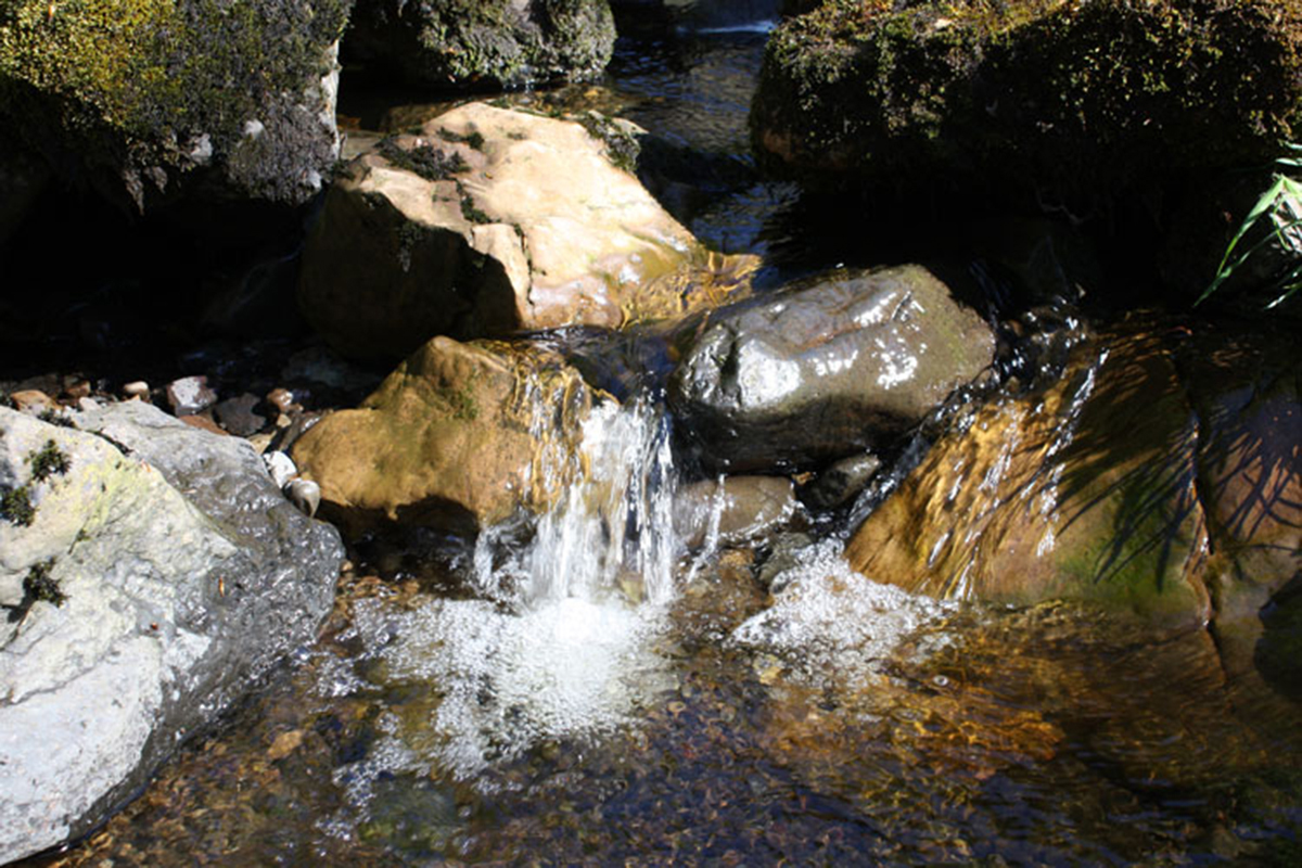 streams